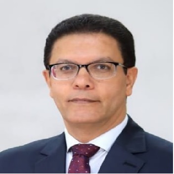 أ.د. ناصر الجيزاوى 