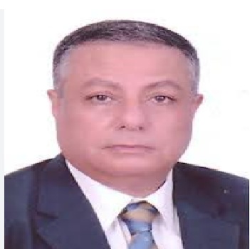 أ.د. محمود أبو النصر 