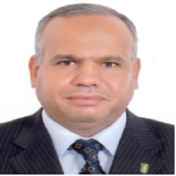 Prof. N. Seweilem 