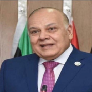 Prof. Amr Salama