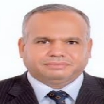 Prof. Nasser Sweilam 