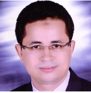 Prof. A.-Haleem Abdel-Aty